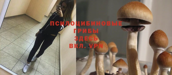 кокаин премиум Няндома